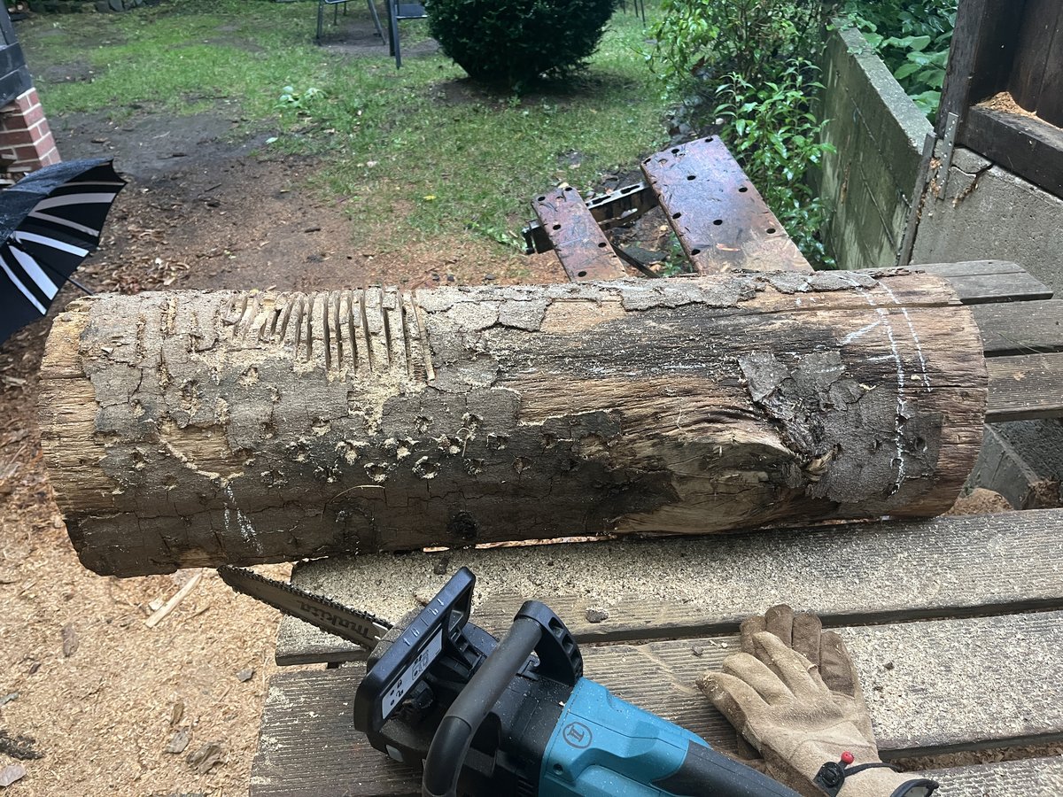 Impression aus dem SkulpTour-Wochenend-Workshop, 04.–06.09.2026