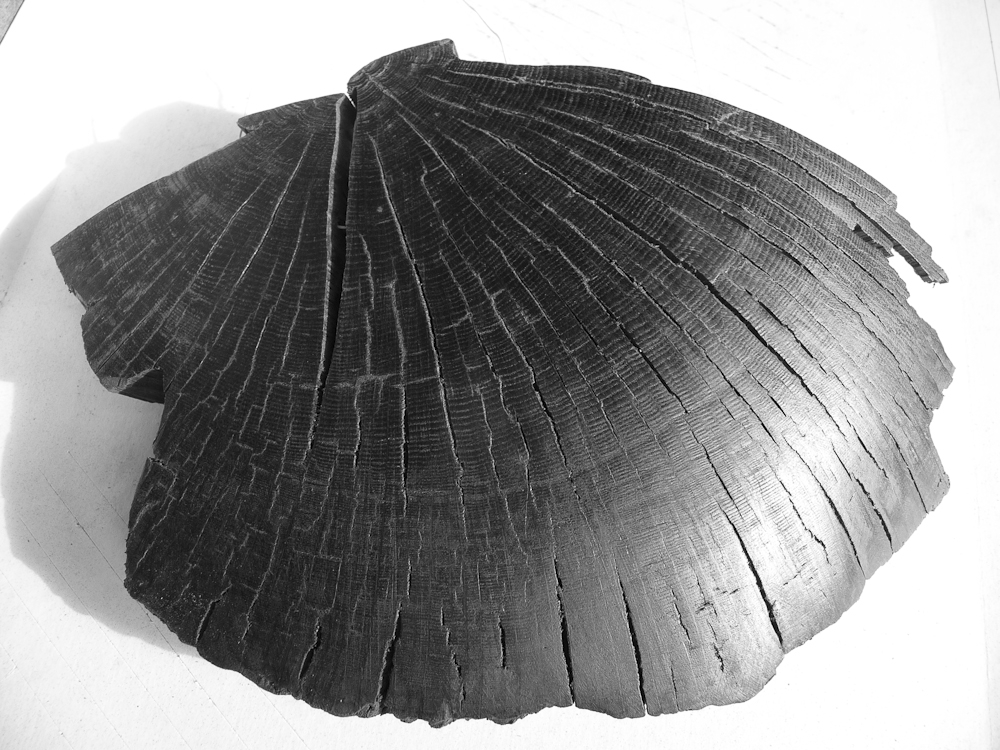 Das Scheibchen für das Gutachten