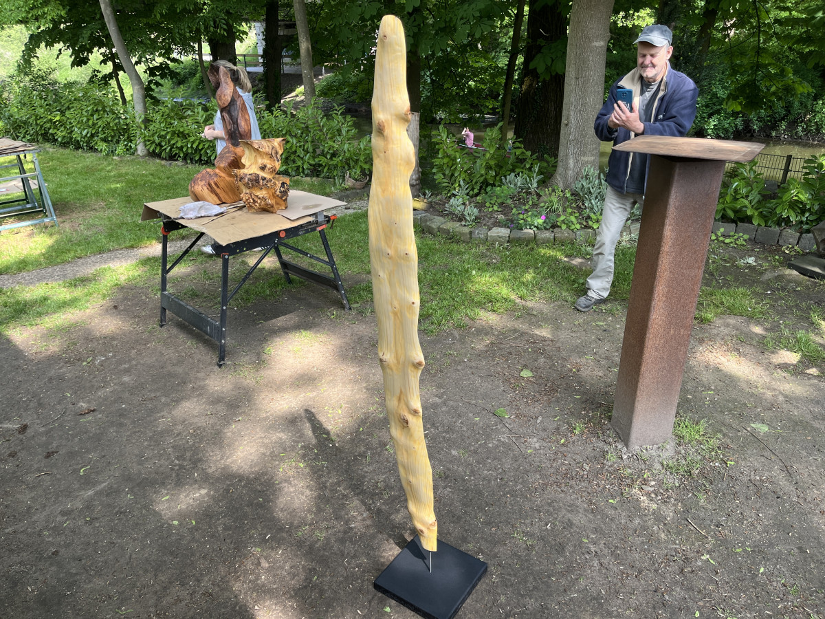 ...Gerüstbohle?